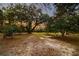 Scenic property showcasing mature trees and natural surroundings, great for outdoor enjoyment at 104 Gervais St, Walterboro, SC 29488