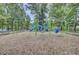 Community playground featuring blue slides and green swing sets for outdoor recreation at 1161 Triple Crown Ct, Mount Pleasant, SC 29429