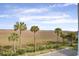 Scenic marsh view showcasing a vast landscape with lush palm trees at 134 Marsh View Villas, Folly Beach, SC 29439