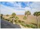 Picturesque marsh view featuring palm trees and native vegetation at 134 Marsh View Villas, Folly Beach, SC 29439