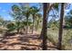 Backyard of this marsh-front home with mature trees, Spanish moss, and lush greenery at 1409 Dune Loft Villas, Seabrook Island, SC 29455