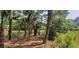Beautiful yard on a marsh, showcasing natural beauty and peaceful setting at 1409 Dune Loft Villas, Seabrook Island, SC 29455
