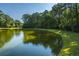Scenic view of a tranquil pond surrounded by mature trees and well-maintained landscaping at 1427 Shell Fish Ct, Mount Pleasant, SC 29466