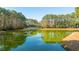 A beautiful scenic view of a pond surrounded by trees and lush green foliage at 1427 Shell Fish Ct, Mount Pleasant, SC 29466