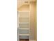 Closet with built-in shelving, providing ample storage space and organization at 143 Harvest Way, Walterboro, SC 29488