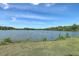 Scenic view of a serene lake, surrounded by lush greenery, offering tranquil waterfront living and natural beauty at 158 Commons Way, Goose Creek, SC 29445