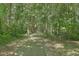 A nature path winds through dense trees, offering a tranquil setting for walks and outdoor activities at 158 Commons Way, Goose Creek, SC 29445