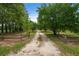 Picturesque tree-lined driveway leading to a peaceful home at 1657 Short Cut Rd, Cross, SC 29436