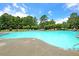 Large community swimming pool surrounded by green trees and lounge chairs at 233 Old Carolina Dr, Goose Creek, SC 29445