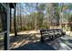 Spacious backyard with a wooden bench and mature trees at 3425 Oxfordshire Ln, Mount Pleasant, SC 29466