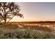 Picturesque waterfront scene with Spanish moss draped oak tree over marshland at sunset at 4009 Ballovista Rd, Johns Island, SC 29455