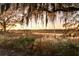 Scenic landscape featuring a pier over water, framed by lush trees and foliage at sunset at 4009 Ballovista Rd, Johns Island, SC 29455