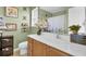 Bathroom with a white countertop, wooden cabinets, and a decorative mirror at 402 Pine Bluff Dr, Summerville, SC 29483