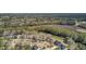 Aerial view of homes showcasing the neighborhood's serene location, water views, and surrounding nature at 1032 Black Rush Cir, Mount Pleasant, SC 29466