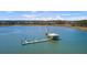 Stunning aerial view of a private dock, complete with a covered pier and boat lift, on calm, glistening water at 1032 Black Rush Cir, Mount Pleasant, SC 29466