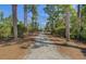 Long private driveway lined with tall palm trees and lush greenery, leading to a secluded home at 1032 Black Rush Cir, Mount Pleasant, SC 29466