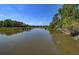 Scenic water view of a tranquil river with dock, surrounded by lush green trees against a clear blue sky at 1032 Black Rush Cir, Mount Pleasant, SC 29466