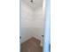 Empty walk-in closet features neutral carpet, wire shelving, and a blank canvas for customization at 112 Edisto Crossing Ct, Ridgeville, SC 29472