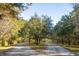 Beautiful driveway lined with trees creating a grand entrance and providing ample space at 1420 Polly Point Rd, Wadmalaw Island, SC 29487
