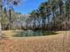 Picturesque pond with a fountain surrounded by trees, creating a serene and inviting outdoor space at 1420 Polly Point Rd, Wadmalaw Island, SC 29487
