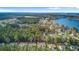 Expansive aerial view of a peaceful community near a lake and a vast forest area at 1633 Pimlico Blvd, Moncks Corner, SC 29461