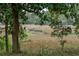 Picturesque backyard view of marsh and grasslands, offering a serene natural setting at 1818 Orangeburg St, North Charleston, SC 29405