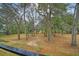 Serene backyard featuring mature trees, lush greenery, and a tranquil outdoor space at 1818 Orangeburg St, North Charleston, SC 29405