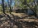 Leafy, overgrown backyard with a shed at 2326 Kent Ave, North Charleston, SC 29405