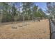 Community dog park with agility equipment and ample space for furry friends to play and exercise at 729 Quintan St, Summerville, SC 29486