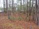 Secluded backyard with privacy provided by mature trees and natural foliage at 8592 Sentry Cir, North Charleston, SC 29420