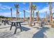 Community picnic tables offer a relaxing space to eat and socialize under the palms at 87 Morning Song St, Summerville, SC 29485