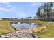 Picturesque pond view surrounded by lush greenery and neighborhood homes at 87 Morning Song St, Summerville, SC 29485