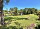 Lush green lawn surrounding a serene pond featuring a fountain and mature trees at 927 Dills Bluff Rd # 33, Charleston, SC 29412
