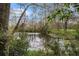 Backyard view of the pond surrounded by trees at 102 Brush Blvd, Goose Creek, SC 29445