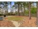 A spacious fenced backyard with mature trees and grass, providing privacy and security at 103 York Pl, Goose Creek, SC 29445