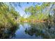 Scenic view of a serene pond reflecting the surrounding trees and clear blue sky on a sunny day at 1602 John Fenwick Ln, Johns Island, SC 29455