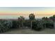 Beautiful beach view at sunset, showcasing palm trees and ocean scenery at 19 Grand Pavilion Blvd, Isle of Palms, SC 29451