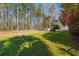 Serene backyard with mature trees, a sturdy fence, and glimpses of neighboring properties, providing privacy at 2101 Heavens Way, Summerville, SC 29483