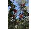 Beautiful pink and white flowers in full bloom on a sunny day at 601 Foredeck Ln, Edisto Island, SC 29438