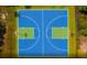 Aerial view of a blue basketball court with green in-bounds space surrounded by trees at 750 Meadowbrook Ln, Summerville, SC 29486