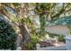 Charming backyard featuring a lush garden, patio, and mature trees offering shade and tranquility at 102 Barnaby St, Charleston, SC 29492