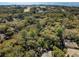 Sweeping aerial perspective showcases a community nestled among trees, a golf course, and the coast at 1121 Summer Wind Ln, Seabrook Island, SC 29455