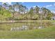 Scenic view of a calm pond reflecting trees under a bright blue sky at 1300 Carol Oaks Dr, Mount Pleasant, SC 29466
