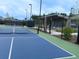 Well-maintained pickleball courts are ready for a friendly match, offering a fun and social activity at 1601 Trailmore Ln, Summerville, SC 29486