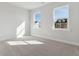 Light-filled bedroom with plush carpeting and dual windows offering views of the neighborhood at 217 Denham St, Summerville, SC 29486