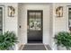 Elegant front door with glass panel and detailed sidelights, potted ferns adding a touch of greenery at 299 Bampfield Dr, Mount Pleasant, SC 29464