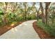 Gravel driveway winding through a lush landscape with mature trees and natural foliage at 3034 Maritime Forest Dr, Johns Island, SC 29455