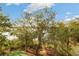 Beautiful waterfront view, showcasing the property's lush trees and landscaping at 3034 Maritime Forest Dr, Johns Island, SC 29455