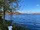 Enjoy serene lake views from the shoreline with lush greenery and calm waters at 32 Monte Sano Dr, Hanahan, SC 29410