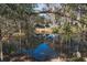 Beautiful pond reflecting the surrounding trees and foliage, creating a tranquil setting at 6118 Hazelhurst Ln, Ravenel, SC 29470